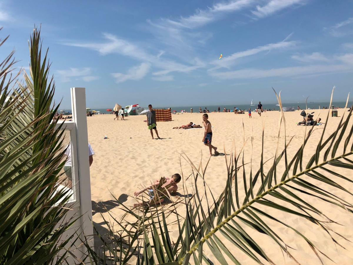Panoramic View On Beach, Ships, Sea - Place To Be Ostend Luaran gambar